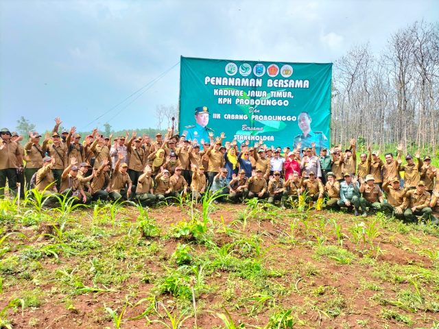 Minimalisir Bencana Banjir, Perhutani Tanam 1.100 Bibit Pohon di Lumbang Probolinggo Minimalisir Bencana Banjir, Perhutani Tanam 1.100 Bibit Pohon di Lumbang Probolinggo