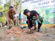 Gubernur Kaltara Ikuti Penanaman Pohon Serentak se Indonesia