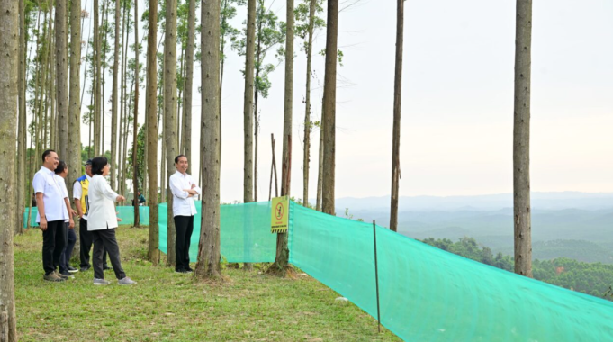Pagi Hari di IKN, Presiden Tunjukkan Para Menteri Pemandangan IKN dari Atas Bukit