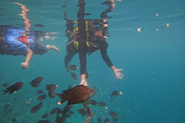 Kemenparekraf dan OIKN Gelar Famtrip ke Berau Kaltim Promosikan Pariwisata IKN Kemenparekraf dan OIKN Gelar Famtrip ke Berau Kaltim Promosikan Pariwisata IKN