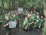 Bersama Grand Mercure Jakarta Kemayoran: Merayakan Hari Bumi dengan Penanaman Mangrove di Kawasan Ekowisata Mangrove PIK, berkolaborasi dengan Yayasan Mangrove Indonesia Lestari
