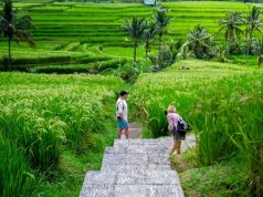 Terapkan Konsep Pariwisata Berkelanjutan, Jatiluwih di Bali Siap Terima Kunjungan Delegasi World Water Forum
