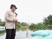 Tinjau Irigasi di Banyuasin, Wamendagri Bima Arya Tegaskan Pentingnya Perbaikan Irigasi untuk Tingkatkan Hasil Panen