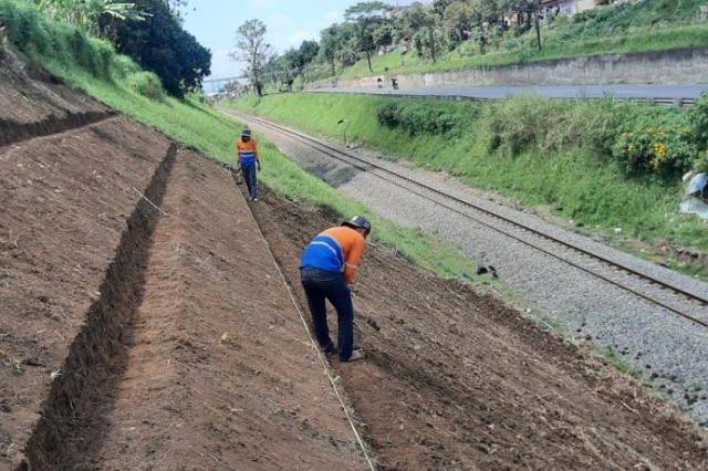 106 Ribu Pohon untuk Negeri: KAI Hijaukan Rel, Lereng, dan Lahan Tandus 106 Ribu Pohon untuk Negeri: KAI Hijaukan Rel, Lereng, dan Lahan Tandus