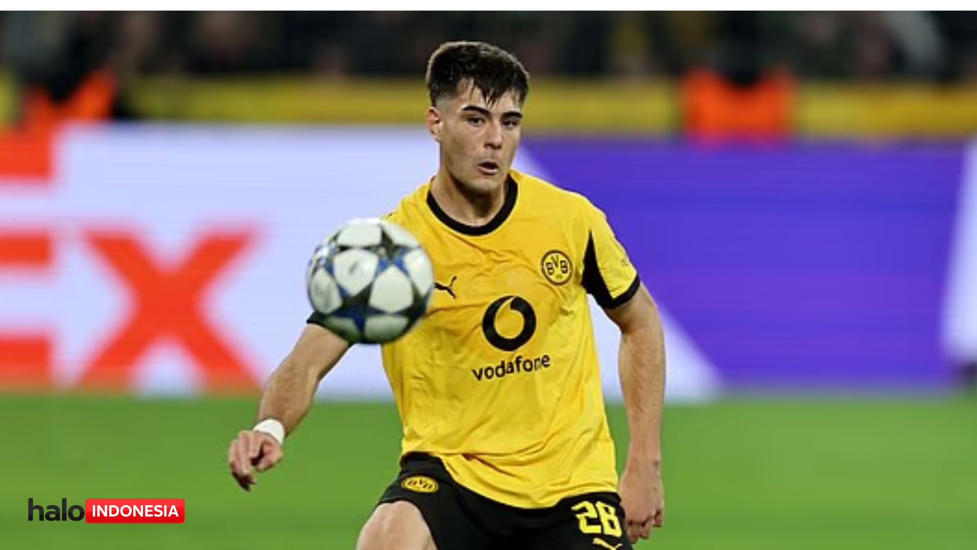 Aaron Anselmino Dipanggil Kilat, Chelsea Ambil Jalan Darurat di Tengah Krisis Bek