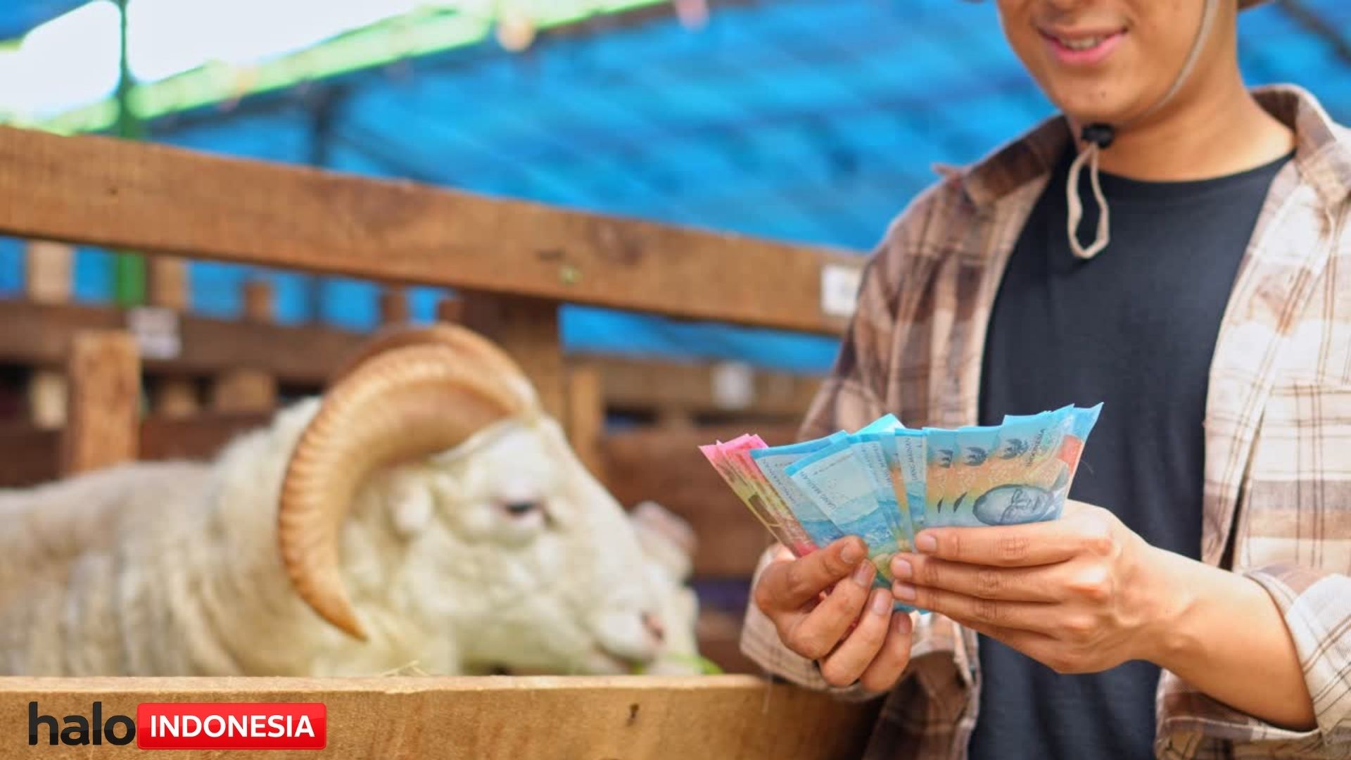 Bansos BLTS Rp 900 Ribu Berpeluang Lanjut di 2026, Kemensos Tunggu Arahan Presiden