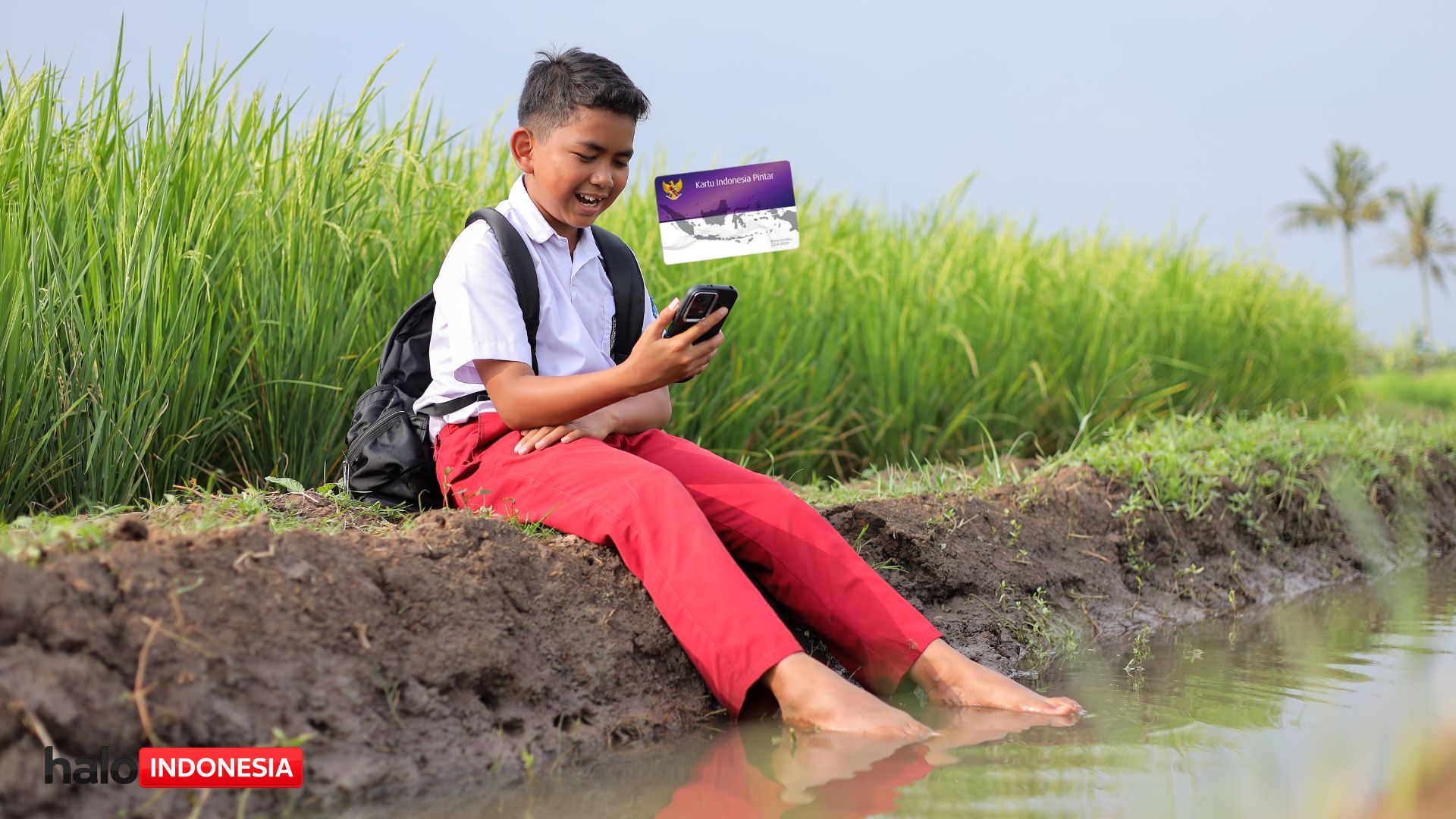 Cara Cek Bansos KIP Pakai NIK di HP: Status Penerima Muncul atau Tidak