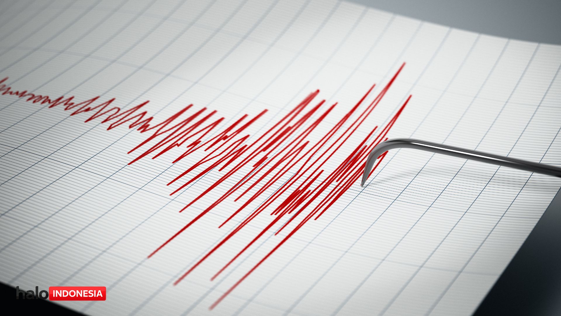Gempa Bumi Hari Ini 3 Februari 2026: Sumbawa–Sumatra Dominan, Puluhan Getaran Terdeteksi Sejak Dini Hari