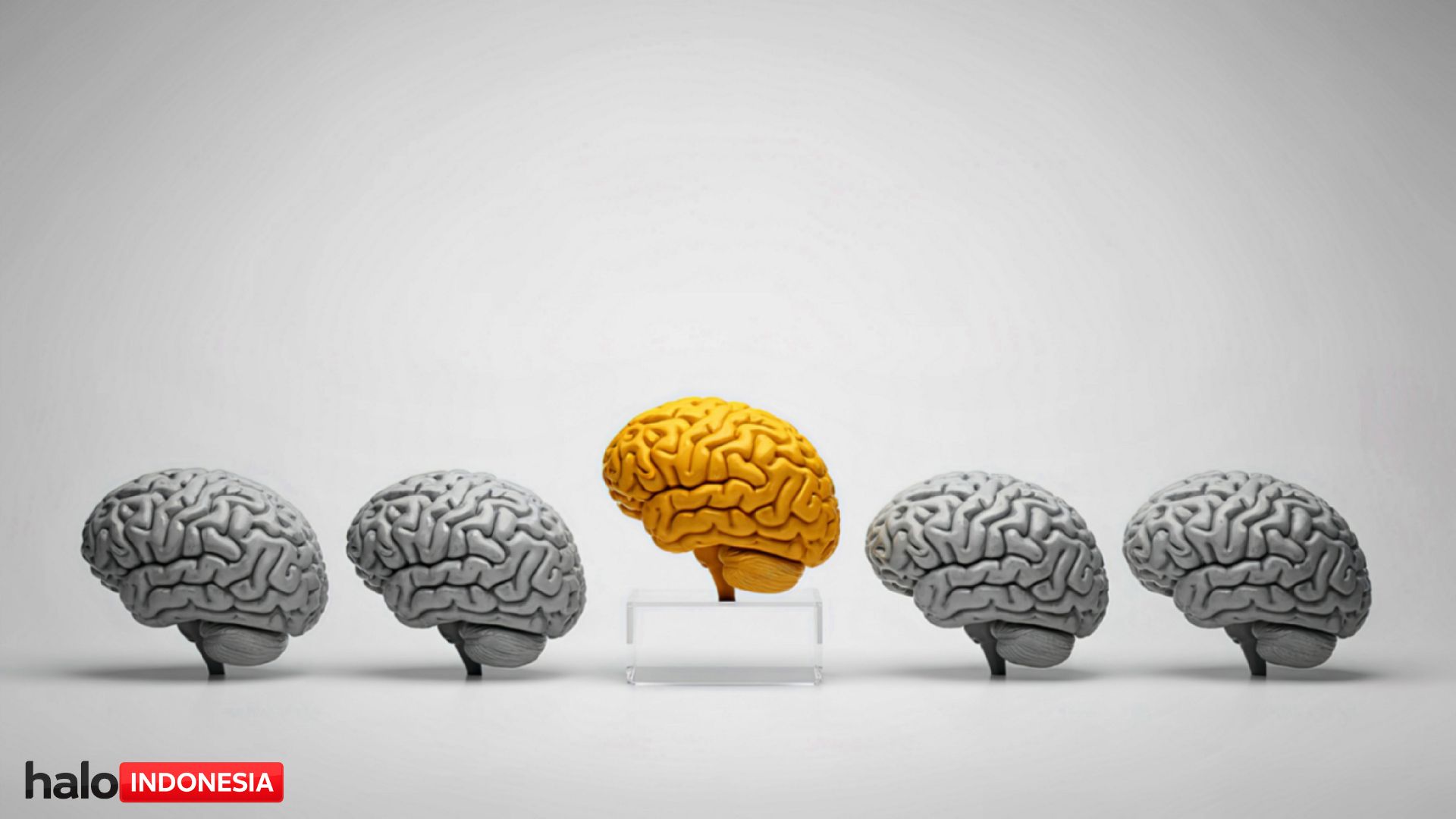 Kunci Jawaban Brain Out Terlengkap 2026: Semua Level dari Awal sampai Tamat