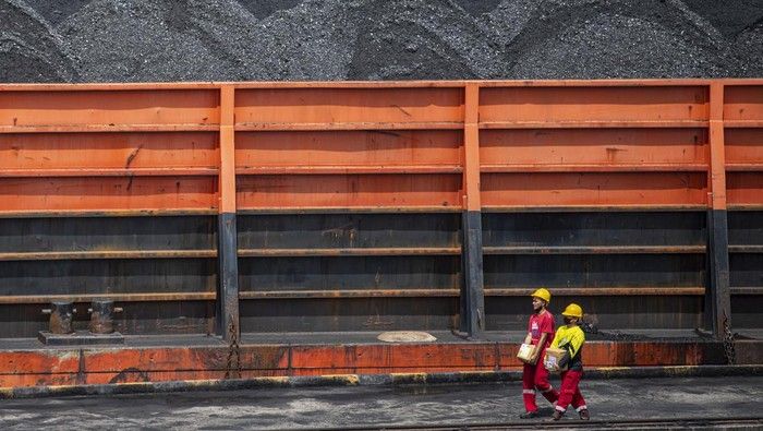 Pemerintah Kaji Ulang Bea Keluar Batu Bara per 1 April 2026