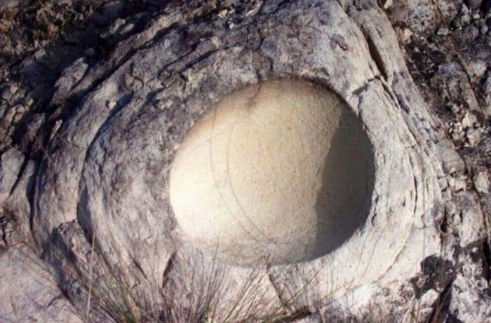 Fosil Telur Dinosaurus Berisi Telur Ditemukan di India