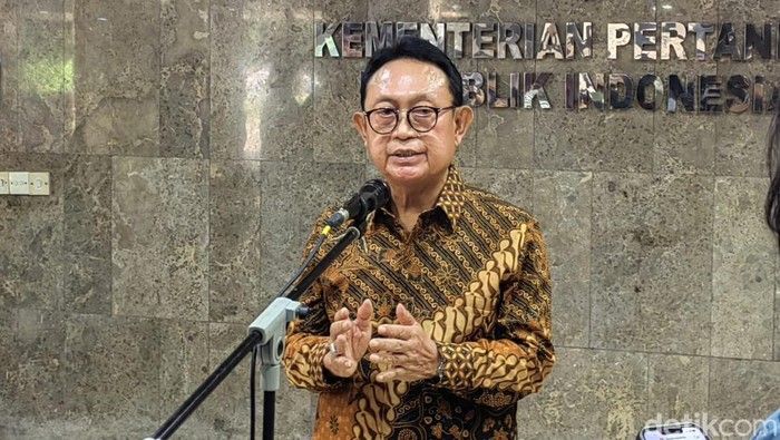 Produksi Sawit Nasional 2025 Meningkat Capai 56 Juta Ton