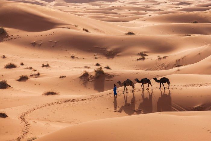 Sahara Dahulu Hijau: Penelitian Gua Ungkap Bukti Curah Hujan Tinggi