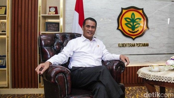Stok Beras Nasional Diprediksi Tembus 5 Juta Ton pada Mei 2026