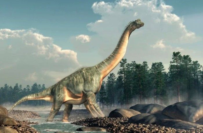 Jejak Dinosaurus Raksasa Berputar Ditemukan di Colorado