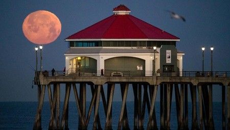 Fenomena Pink Moon Hiasi Langit April 2026