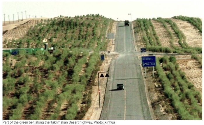 Tembok Hijau China Perlambat Perluasan Gurun, Ubah Lanskap