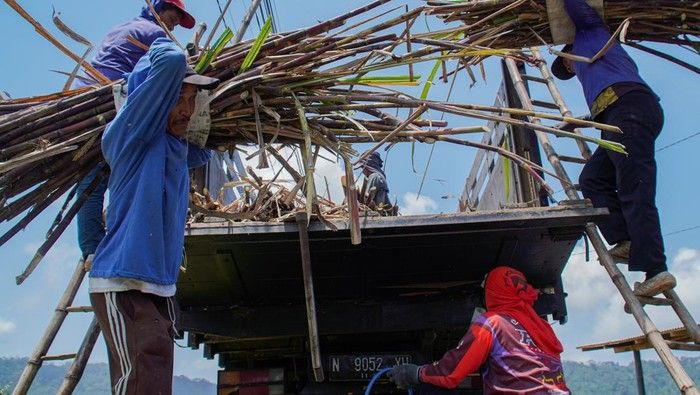 Kementan Targetkan Produksi Gula Nasional 3 Juta Ton