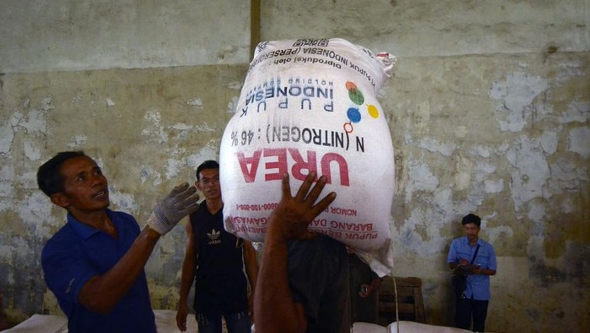 Indonesia Penyelamat Pasokan Pupuk Global di Tengah Krisis Geopolitik