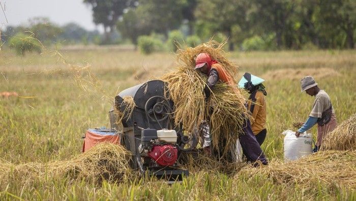 Nilai Tukar Petani Februari 2026 Catat Rekor Tertinggi