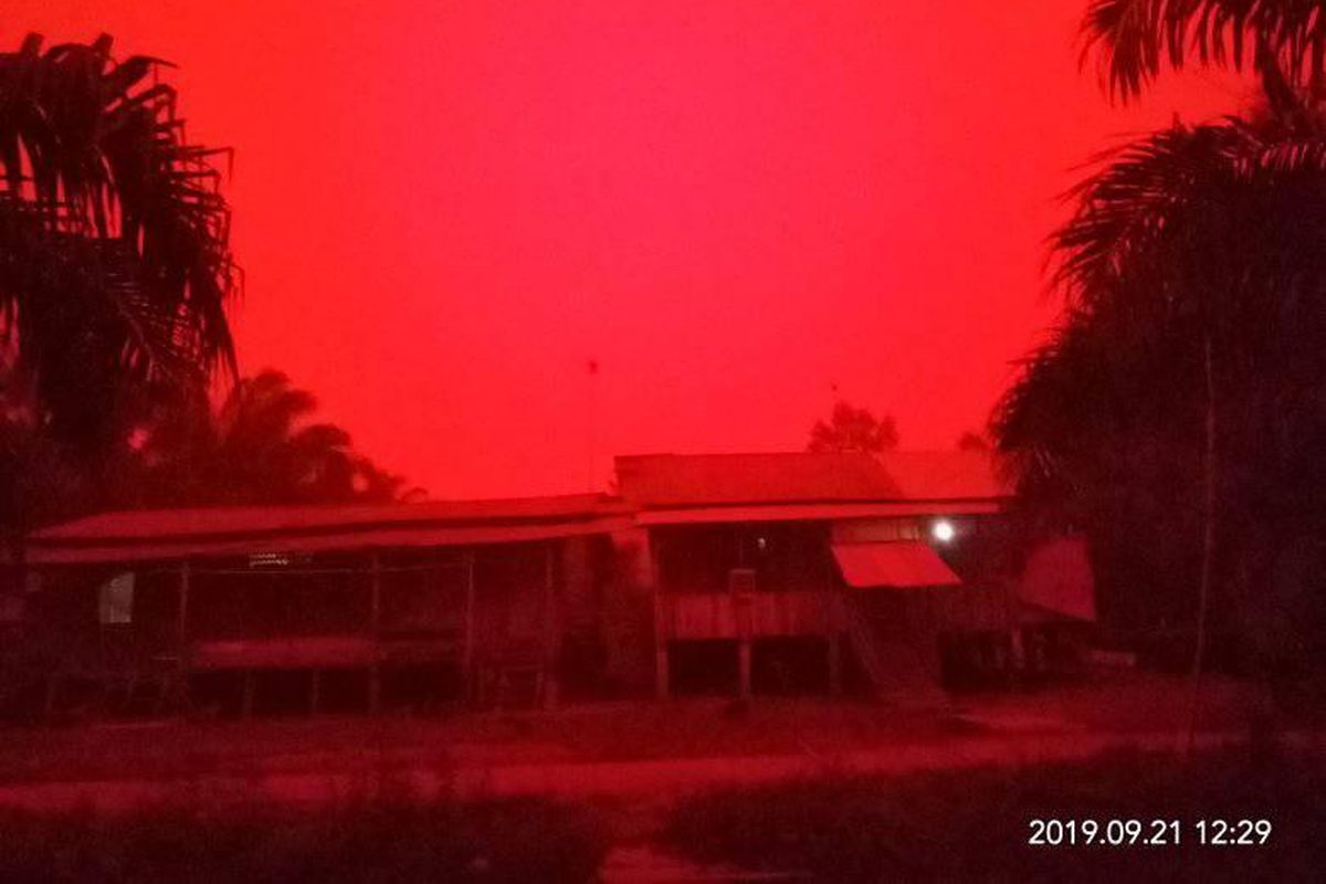 Langit Shark Bay Memerah Jelang Topan Narelle, Dipicu Badai Debu Besi