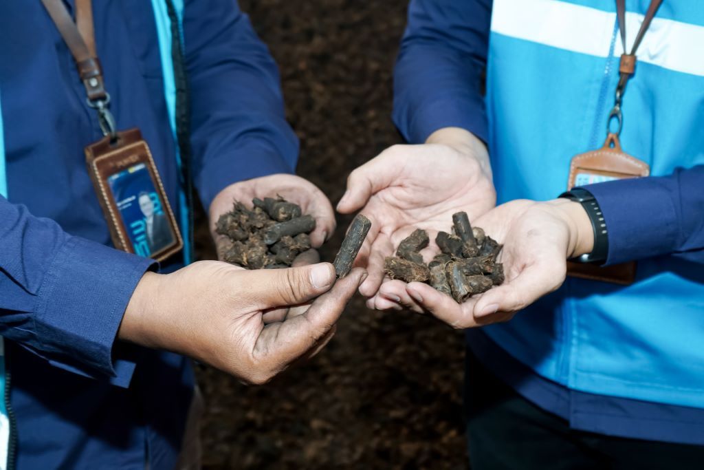 PLN Indonesia Power Hasilkan 1.101 GWh Energi Bersih di 2025