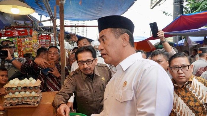 Ekspor Produk Unggas Indonesia Digenjot hingga Maret 2026