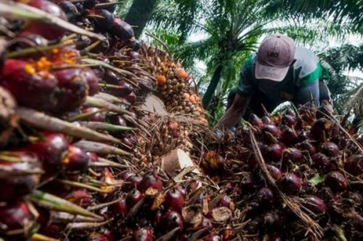 Bank Mega Tetapkan Dividen Rp2 Triliun Tahun Buku 2025, Naik 90 Persen