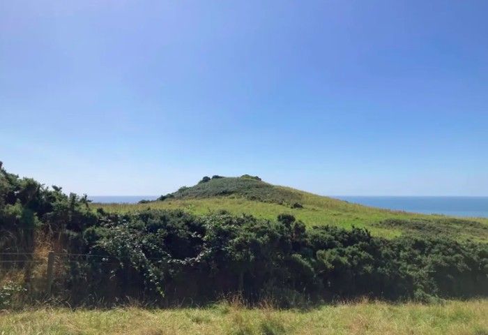 Arkeolog Klaim Temukan Makam Penguasa Viking Ivar the Boneless