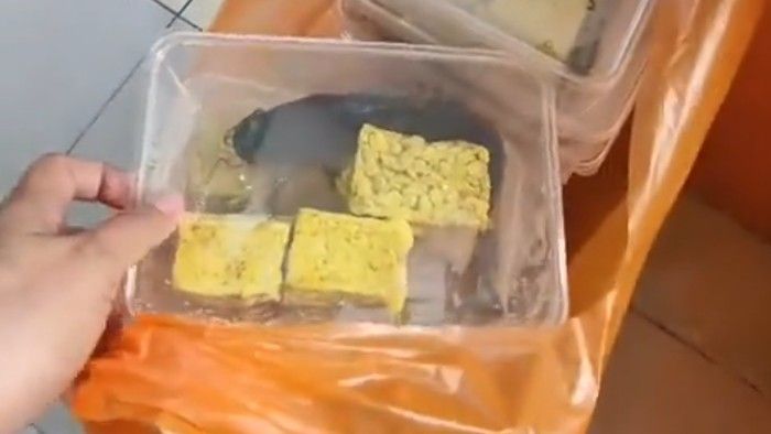 BGN Hentikan Sementara SPPG Pamekasan Usai Viral Lele Mentah