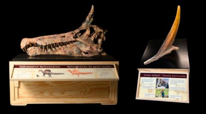Spesies Dinosaurus Baru Mirip Unicorn Ditemukan di Sahara
