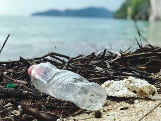 Bakteri Laut Mampu Urai Plastik Ramah Lingkungan