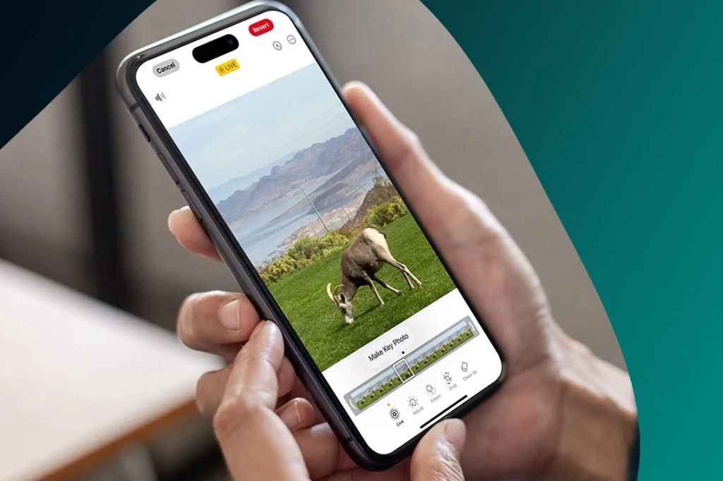 Konversi Live Photos Jadi Video di iPhone, Ini Caranya!