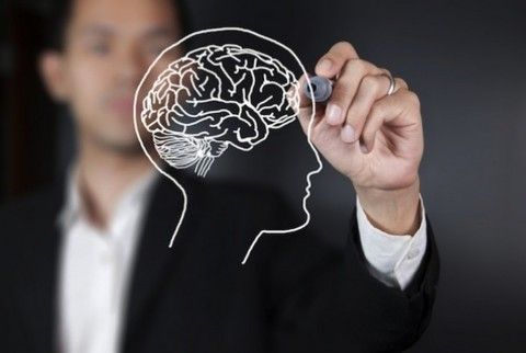 Daftar Individu dengan Skor IQ Tertinggi Sepanjang Sejarah