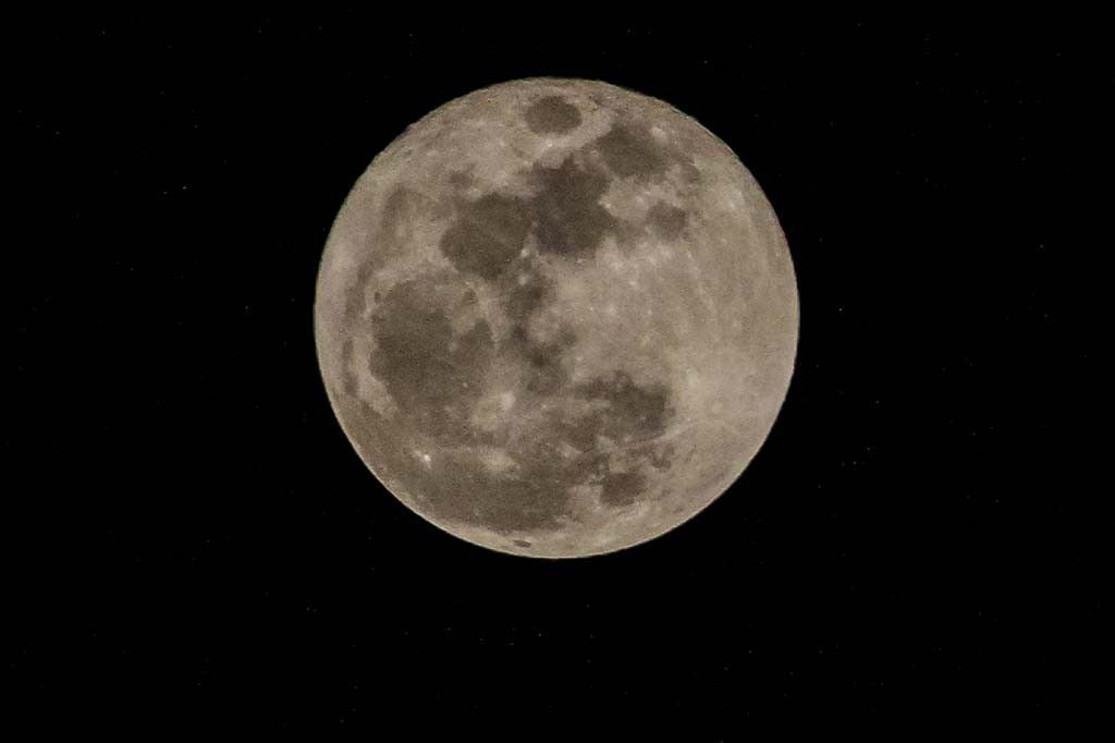 Pink Moon Hiasi Langit April 2026: Sejarah dan Fakta Menarik