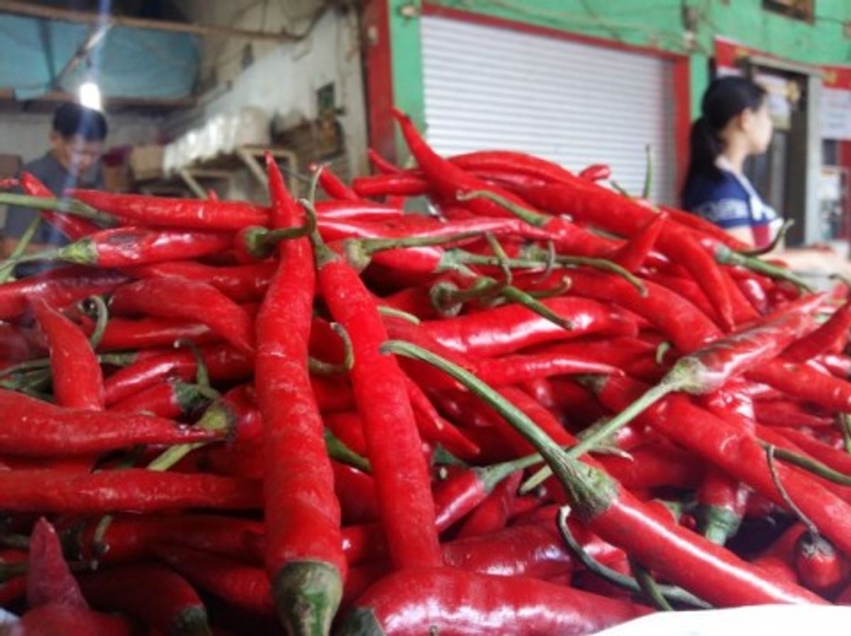 Harga Cabai Rawit Merah Sentuh Rp68.100 per Kg di Pasar Domestik