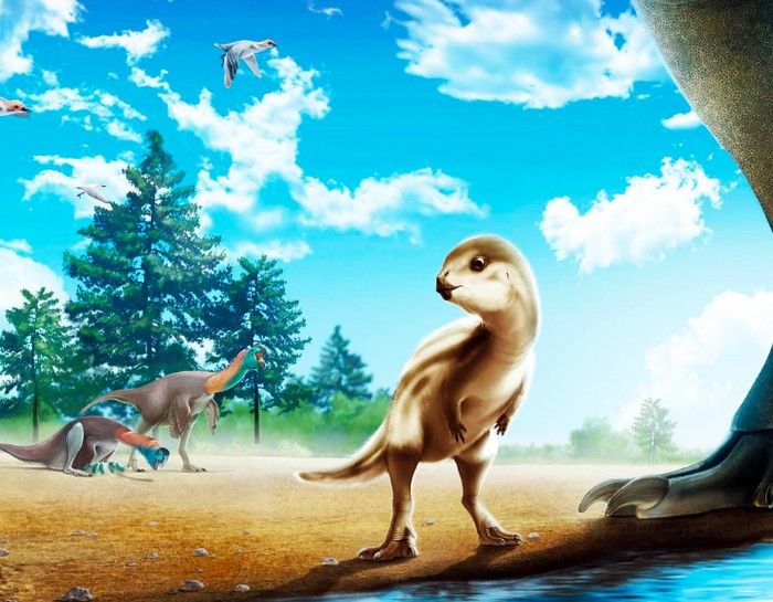 Dinosaurus Baru di Korea Selatan Dinamai Doolysaurus