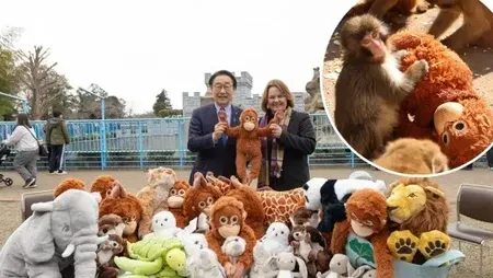 IKEA Jepang Sumbangkan Boneka untuk Monyet Viral Punch