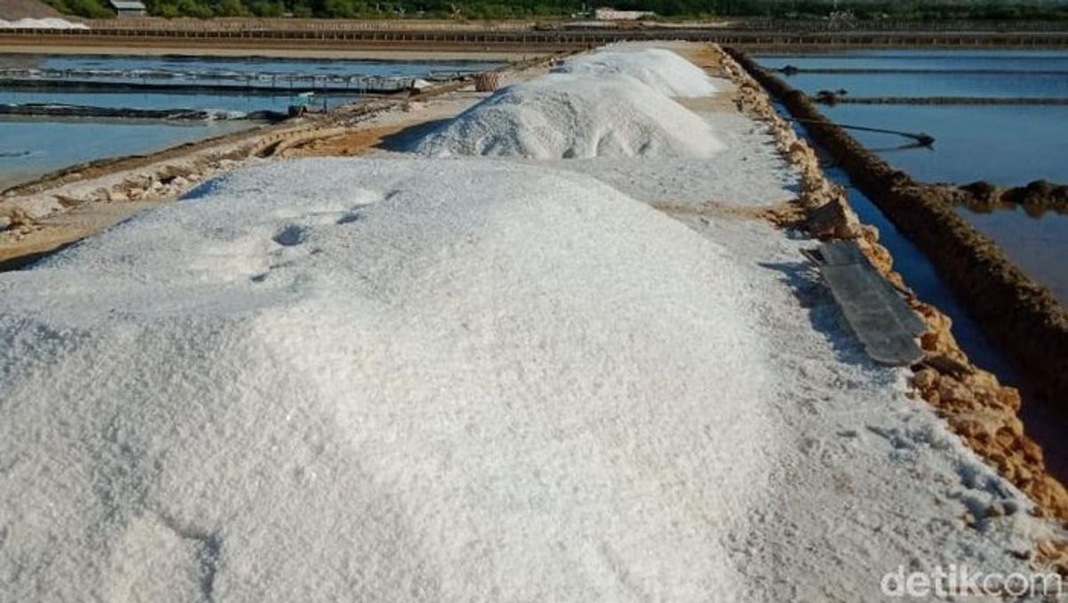 Produksi Garam Nasional Digenjot, Target Indonesia Nir-Impor Akhir 2027