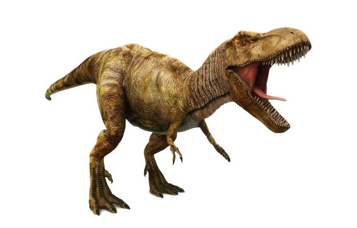 Tyrannosaurus Rex Butuh 40 Tahun untuk Capai Ukuran Maksimal