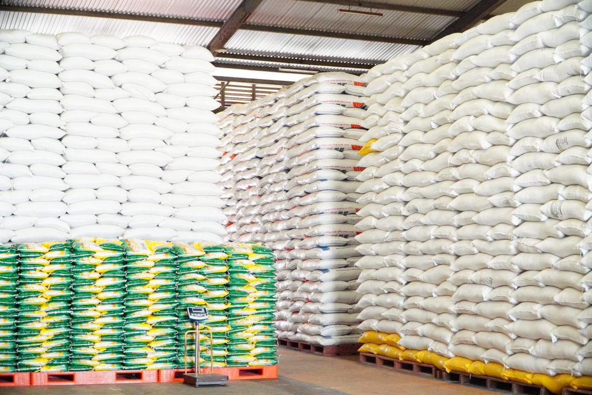Pemerintah Batasi Pembelian Beras SPHP Maksimal 25 Kilogram
