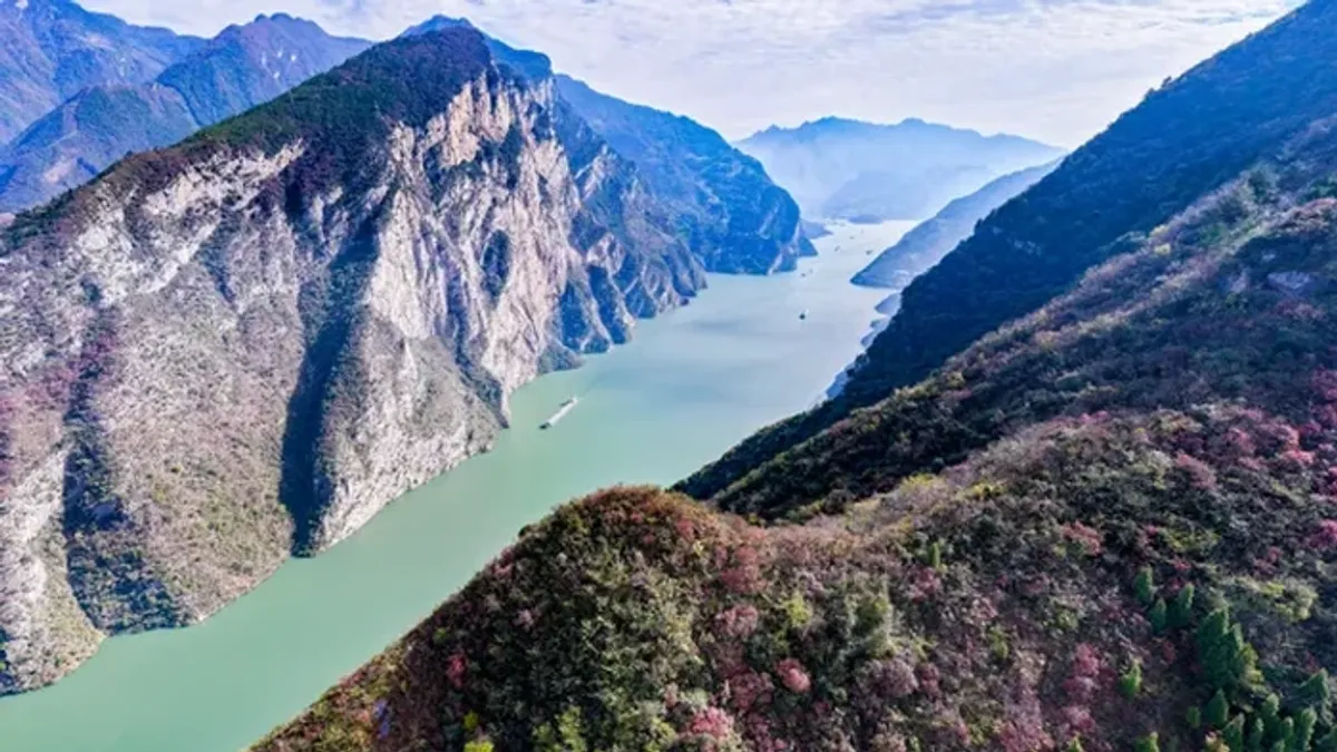 Populasi Ikan Sungai Yangtze Meningkat Pasca Larangan Penangkapan