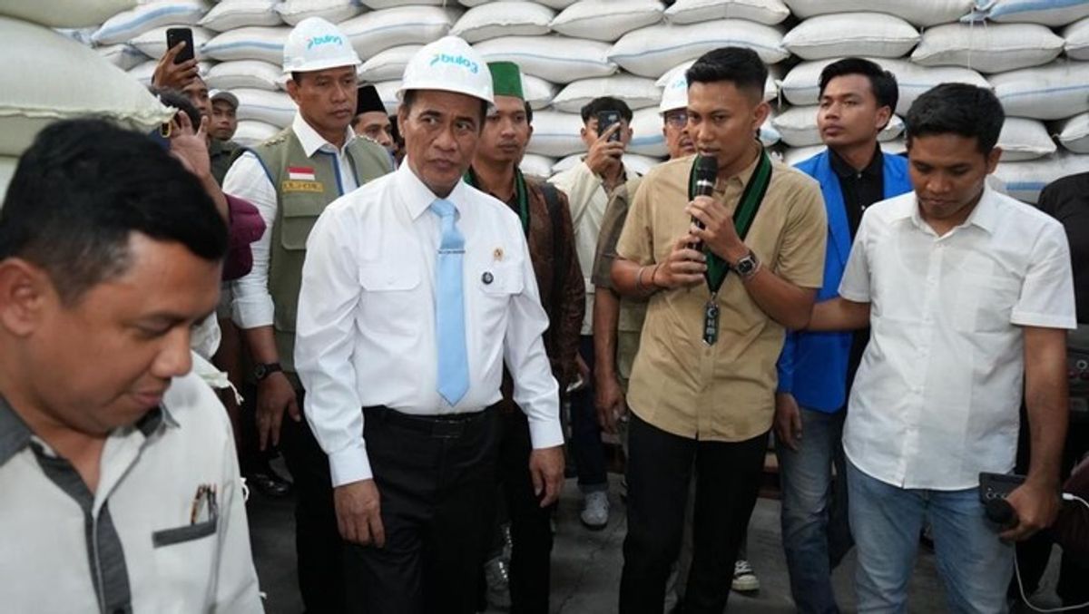 Stok Beras BULOG Capai 4,9 Juta Ton Pecahkan Rekor Sejarah