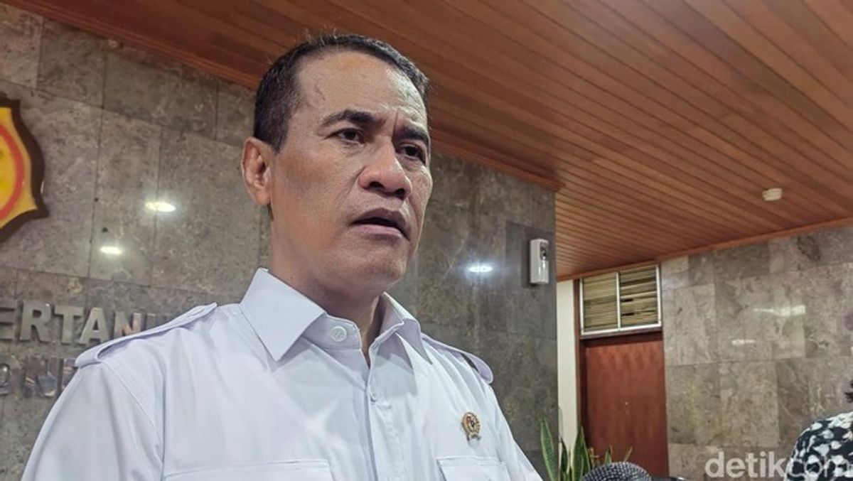 Cadangan Beras Nasional Capai 4,5 Juta Ton, Mentan: Rekor Tertinggi