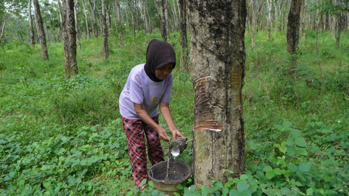 Sekolah Rakyat Sragen Pulihkan Harapan Pendidikan Anak Putus Sekolah