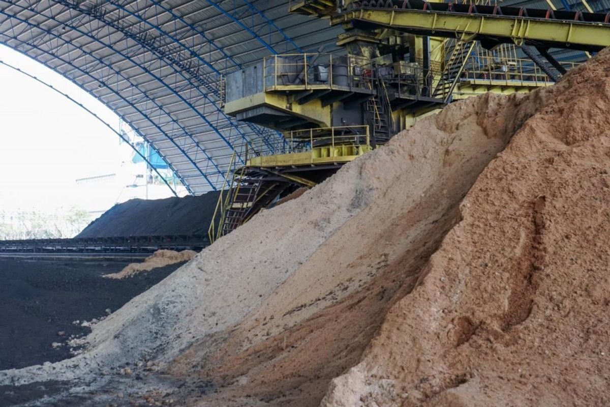 PLN EPI dan Kalimantan Powerindo Kembangkan Biomassa untuk Ketahanan Energi