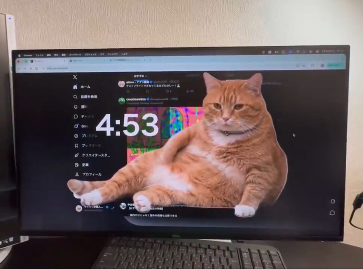 Ekstensi Cat Gatekeeper Paksa Pengguna Berhenti Scrolling Media Sosial