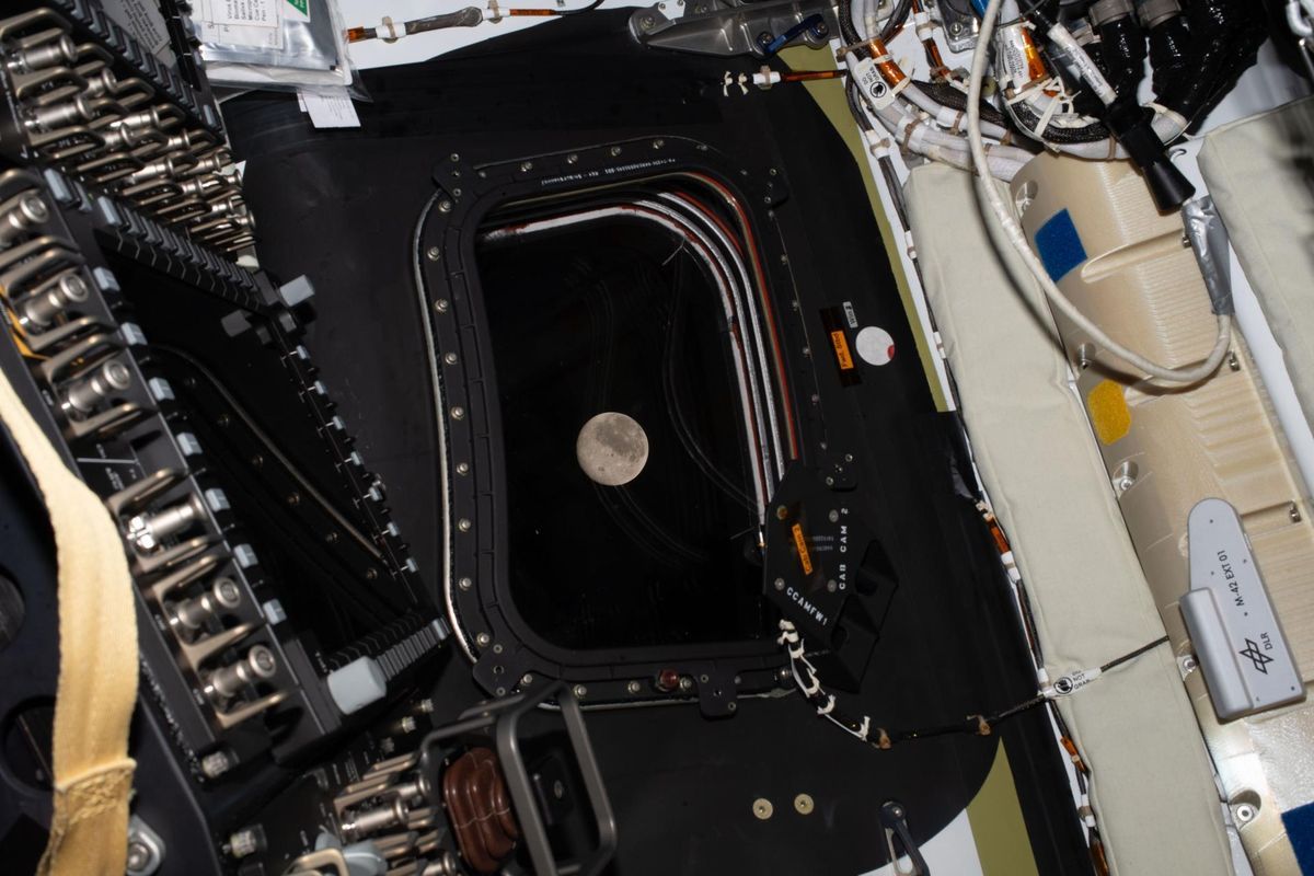Astronaut Artemis II Abadikan Bulan dengan iPhone 17 Pro Max