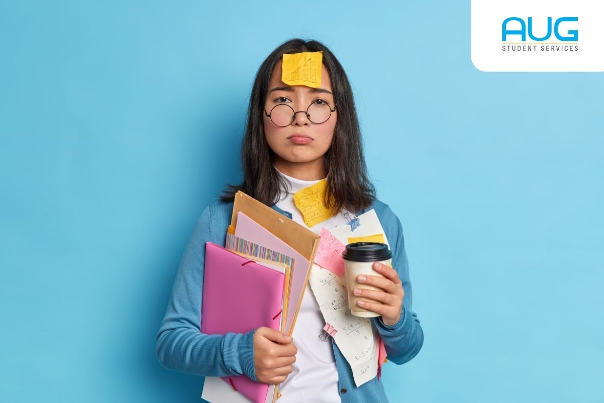 Teknik Sipil UMB Raih Akreditasi IABEE 2026, Perkuat Daya Saing Global