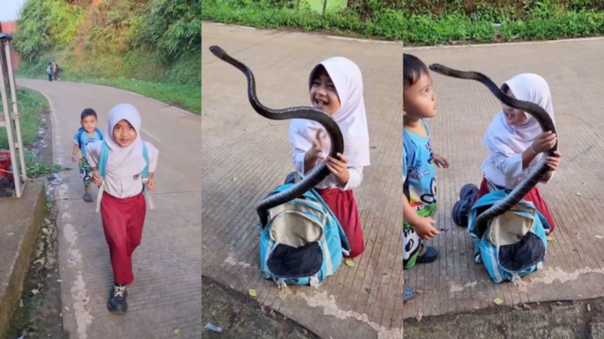Video Bocah SD Keluarkan Ular dari Tas Sekolah Viral di Media Sosial